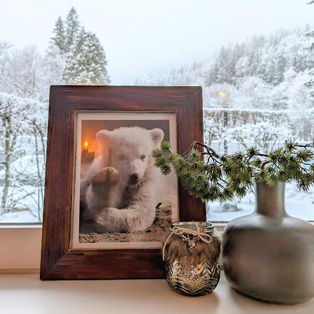 Apartament Au Petit Bois Chamonix Zewnętrze zdjęcie