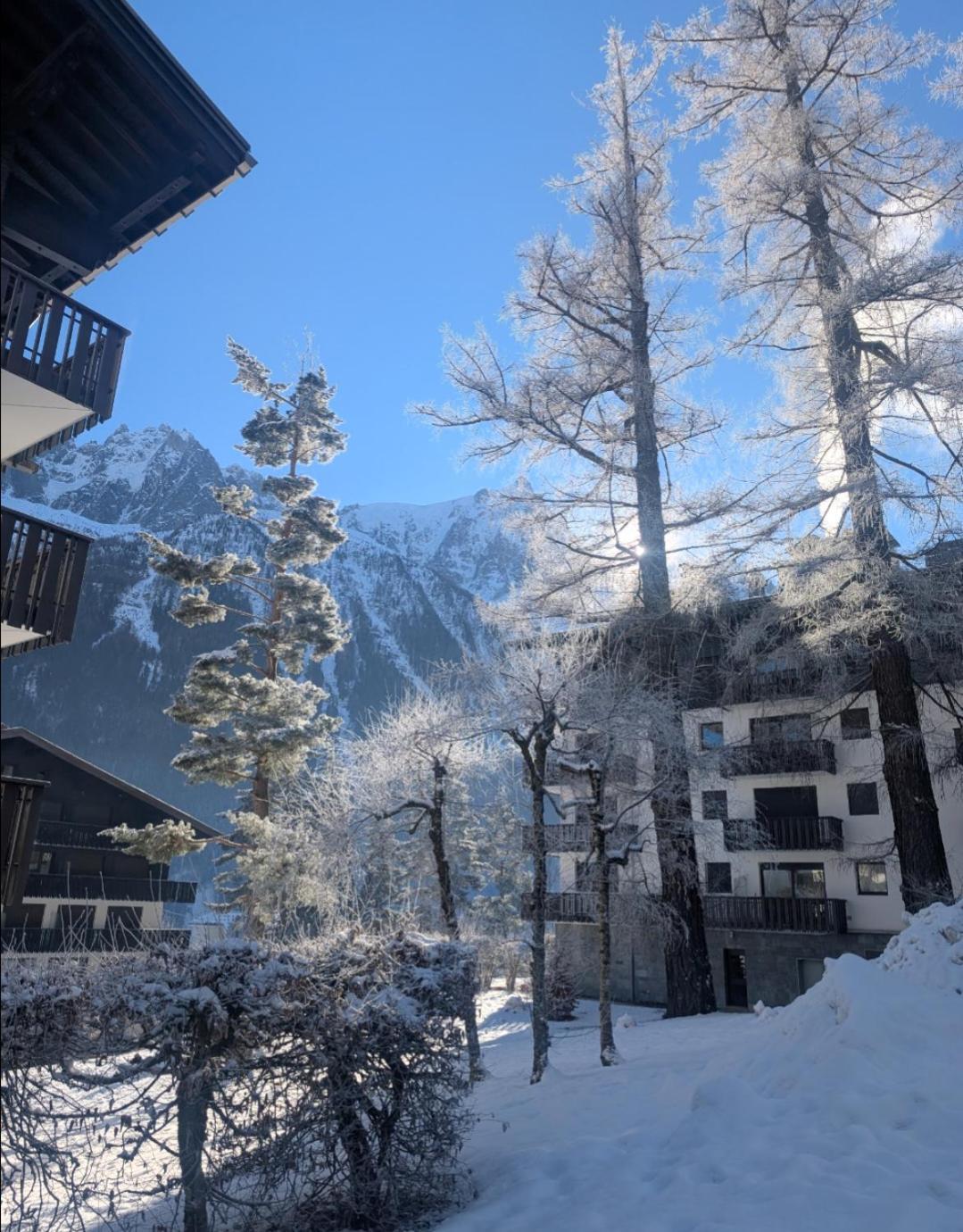 Apartament Au Petit Bois Chamonix Zewnętrze zdjęcie